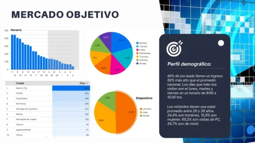 Mercado Objetivo